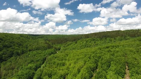 Flying-over-Verdun-forest,-beautiful-blue-sky-and-white-clouds.-World-war-1